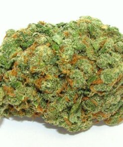 Buy top quality og kush online