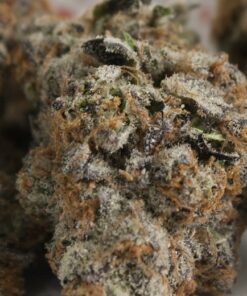 Buy top quality platinum girl scout cookies