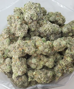 buy blue lobster strain online