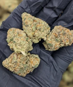 buy cadillac rainbow strain online