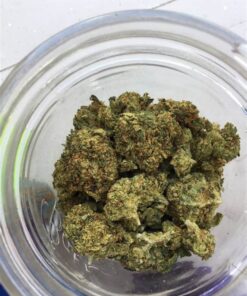 buy tropical burst strain online