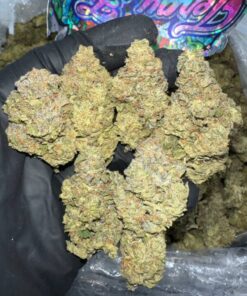 Order Alien Runtz Weed strain Online