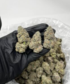 Buy Black Ice Weed Strain Online