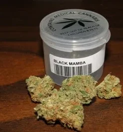 Buy Black Mamba Gelato Strain online