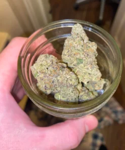 Buy blueberry nerdz weed strain online