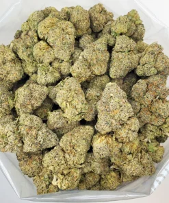Buy Assassin Runtz Strain Online
