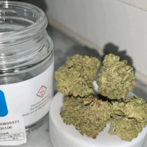 Buy Duct Tape Weed strain Online