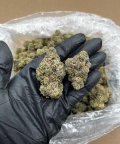 Buy Gas runtz strain Online