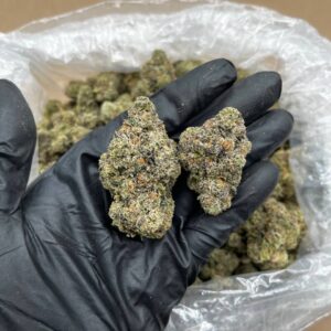 Buy Gas runtz strain Online