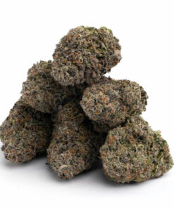 Buy Hippy Slayer Weed strain Online
