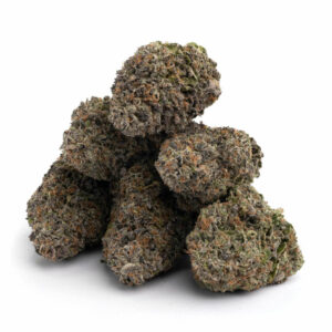 Buy Hippy Slayer Weed strain Online