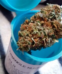 buy triangle kush online