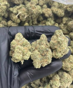 Buy Candy Tears strain online