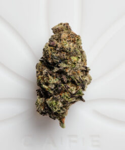 Buy Cartel Cut Strain Online