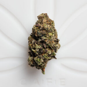 Buy Cartel Cut Strain Online