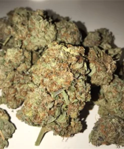 Order Dirty cherrys Weed Strain Online