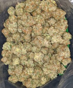 Buy Donny Burger Weed Strain Online