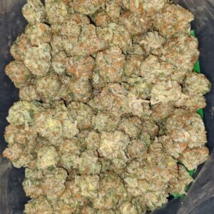 Buy Donny Burger Weed Strain Online