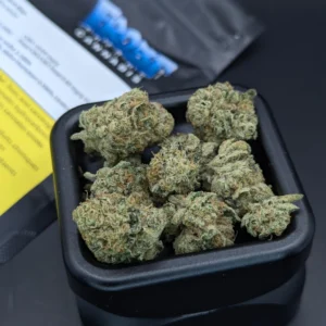 Buy frosted gas strain Online