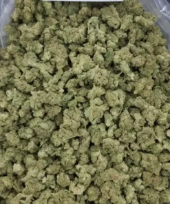 Buy Garlic Juice strain Online