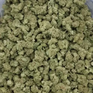 Buy Garlic Juice strain Online