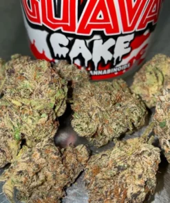 Buy Guava cake strain online