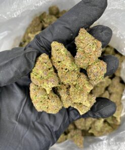 OrderP-Funk Weed Strain Online