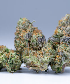 Buy Stroop Waffle Strain Online
