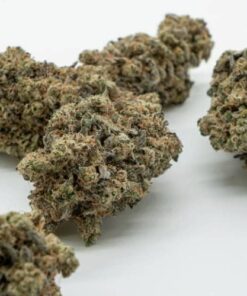 Buy Blue andeze strain online