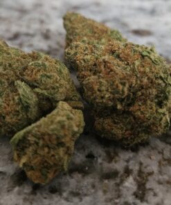 Buy pancakes strain Online