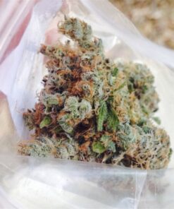 Shop Jack cherry AK strain Online