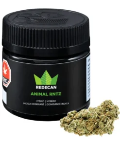 Buy Animal Mintz Strain Online