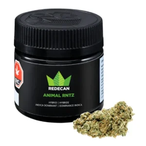 Buy Animal Mintz Strain Online