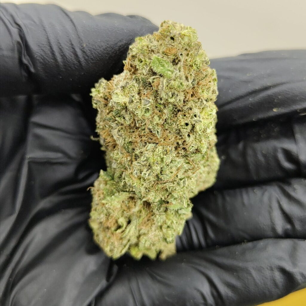 Where to Order Chimera Strain Online in USA – Trusted 2025 Guide