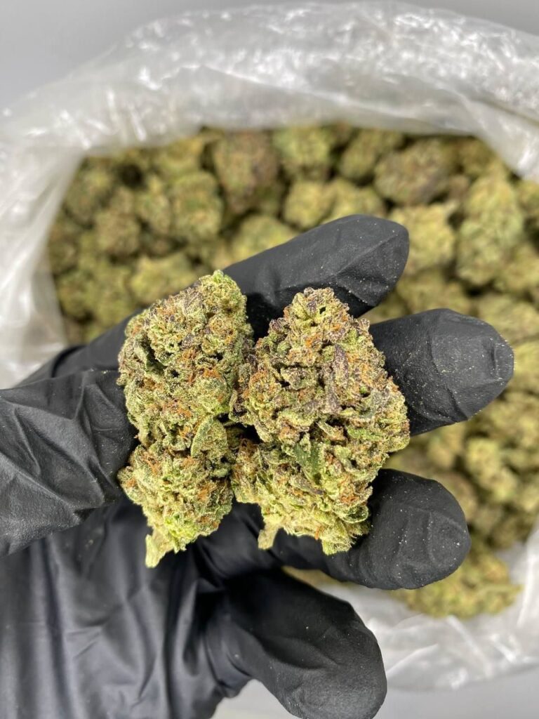 A close up photo for cartel cut strain comparison with other exotic strains.