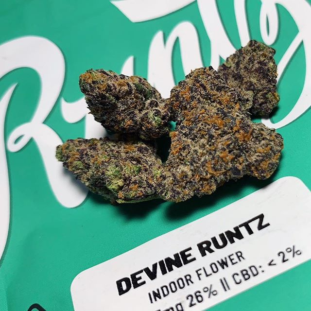Devine Runtz Strain for Sale Near Me – Best Deals & Delivery in the USA