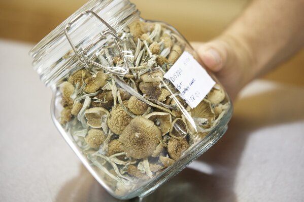 Where to Buy Golden Teacher Mushrooms Online in the USA