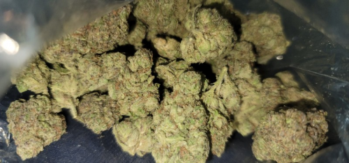 Zaza Weed Near Me – Safe Delivery Options & Local Sources

