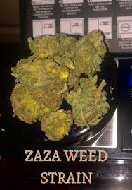 Top Zaza Weed Strain Names in 2025: The Exotic Flavors You Need to Know