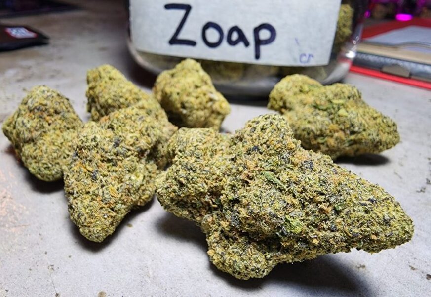 Real vs Fake Zoap Weed: 6 Ways to Spot the Difference