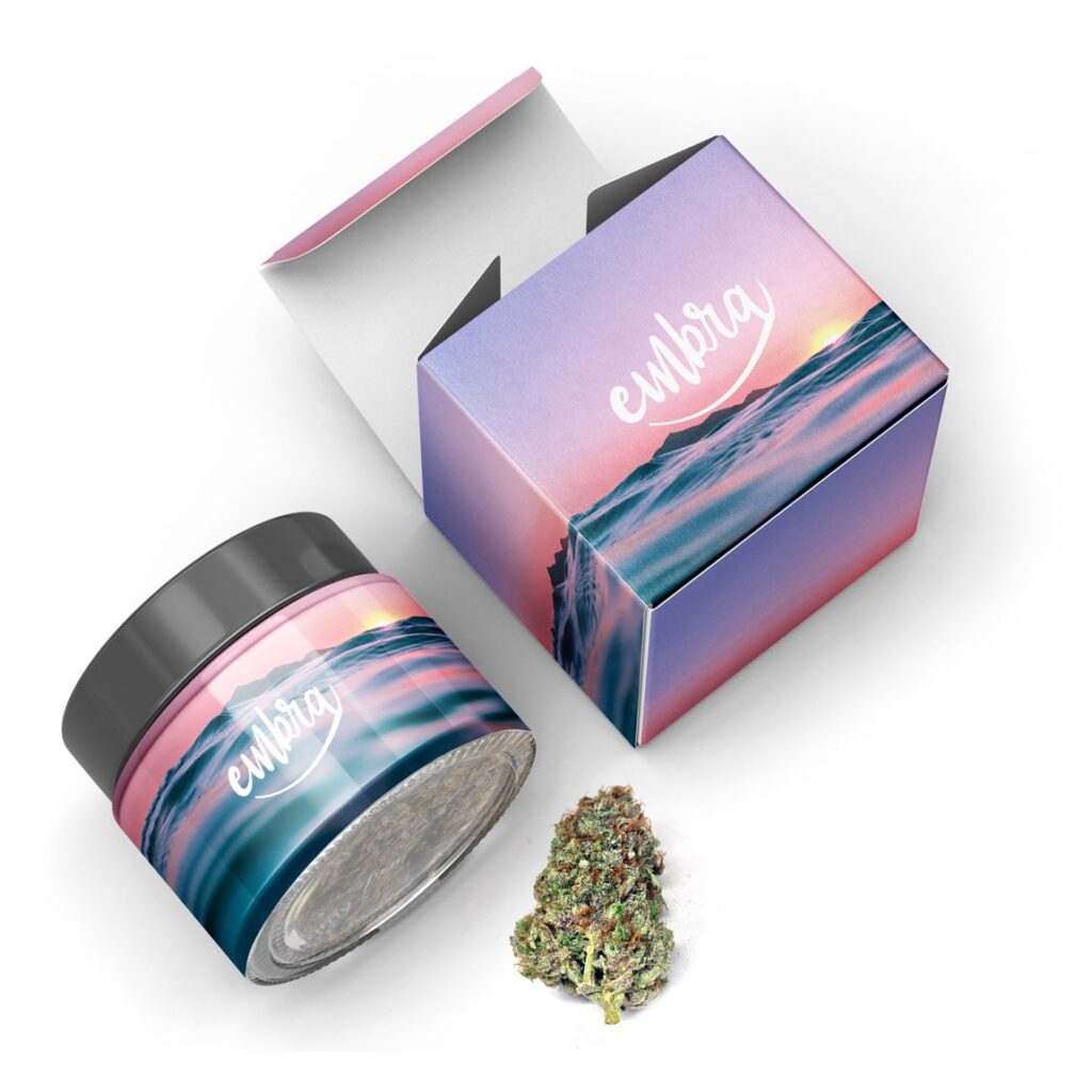 Dirty Cherry Weed Effects – Is This the Perfect Strain for You?
