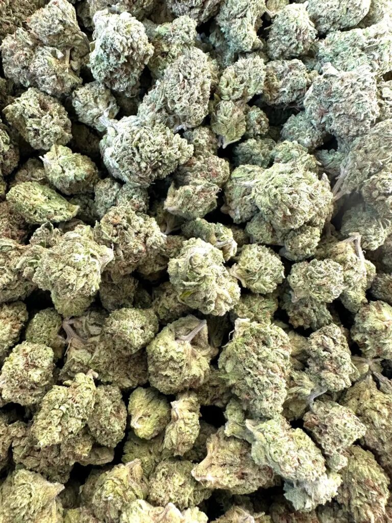 Order Cadillac Rainbow Strain Online