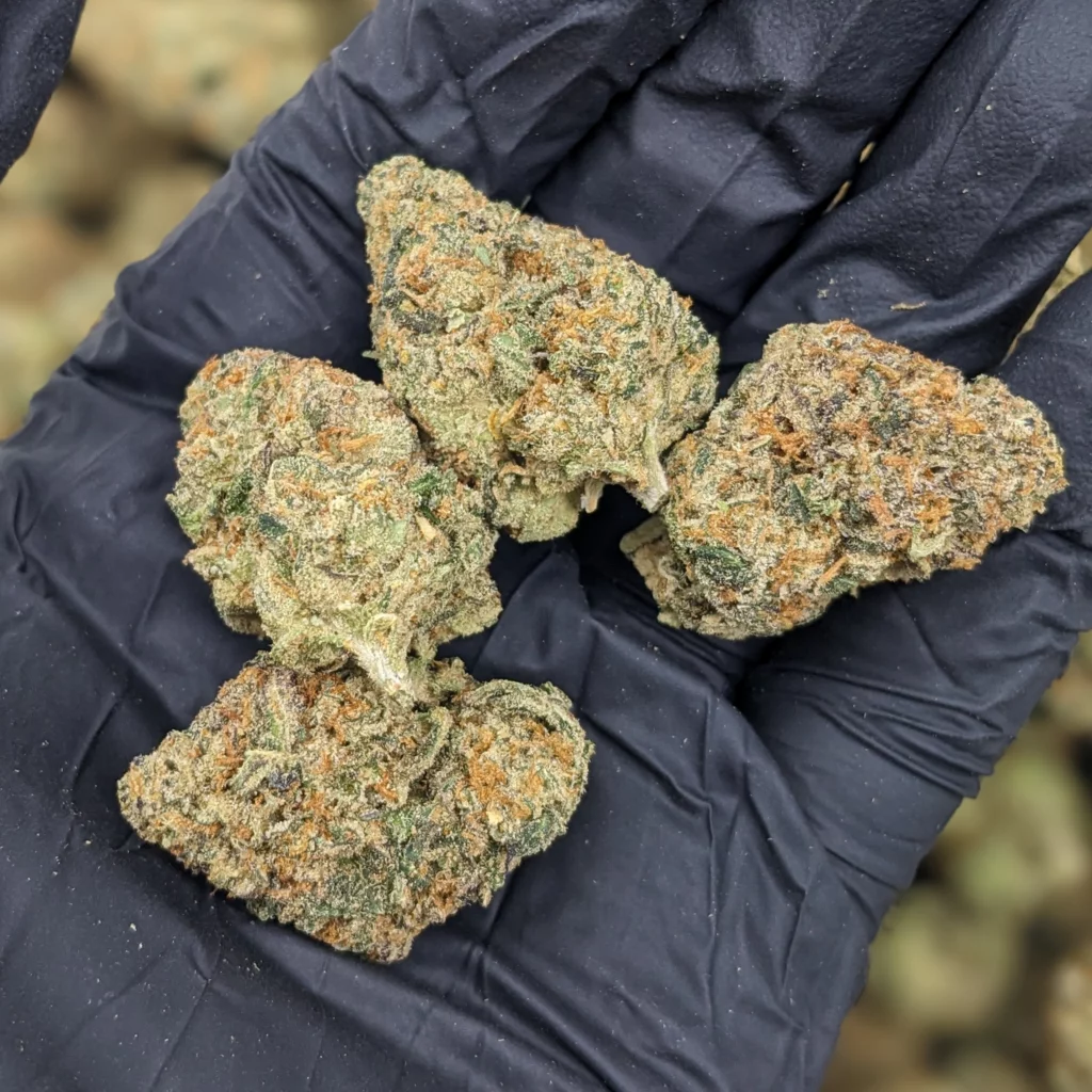 Cadillac Rainbow Strain THC Level