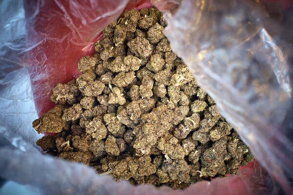 Buy Zaza Weed in West Virginia