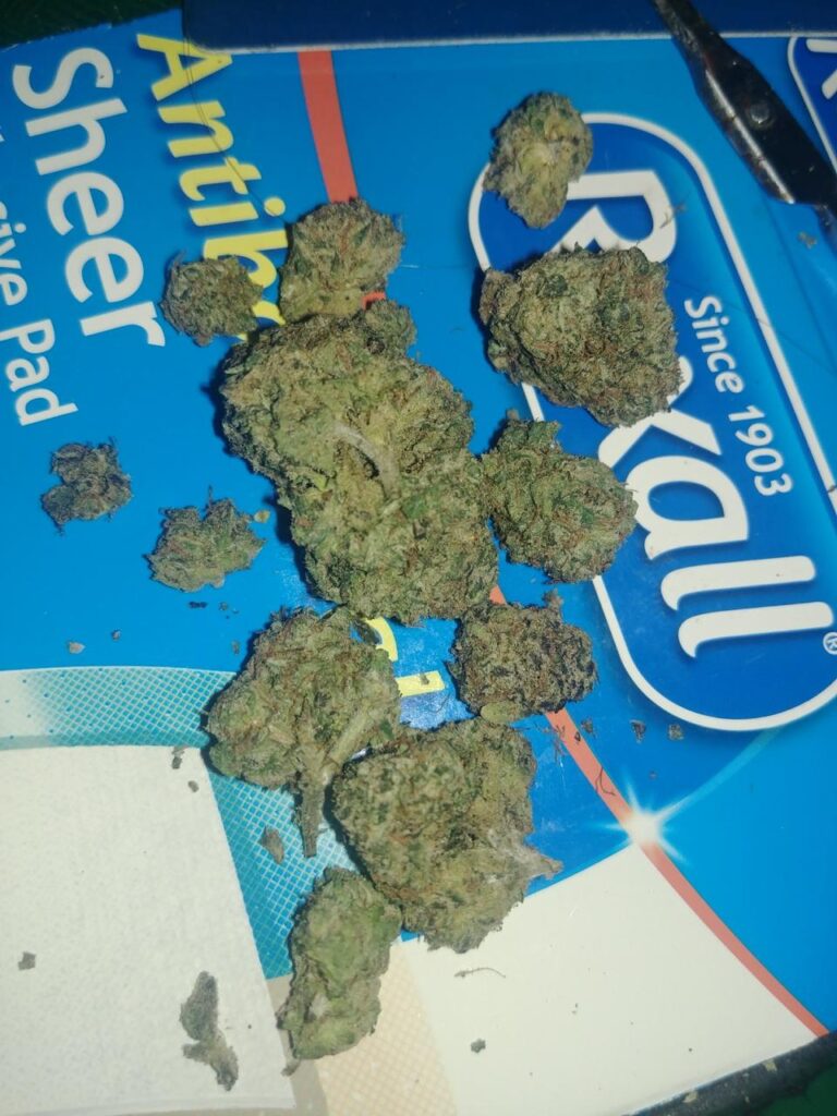 Blue Gumbo Indica Hybrid for Sale Online