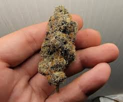 Best Deals on Devine Runtz Strain Online