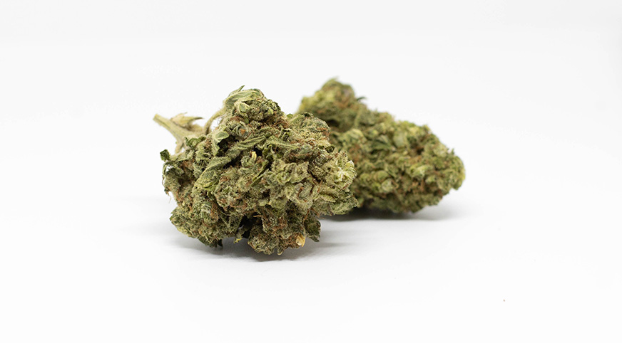 Buy Jungle Candy Strain Online