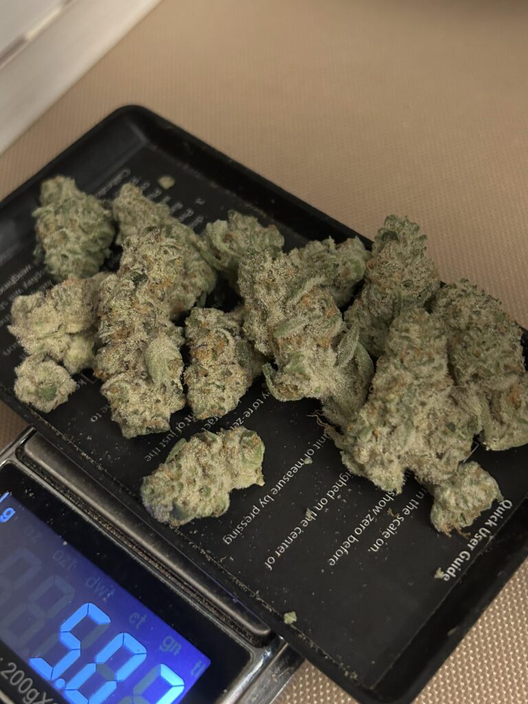Buy Cap Junky Strain Online