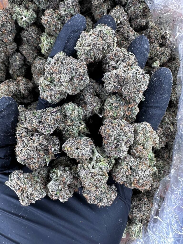 Cheap Blue Gumbo Weed Online