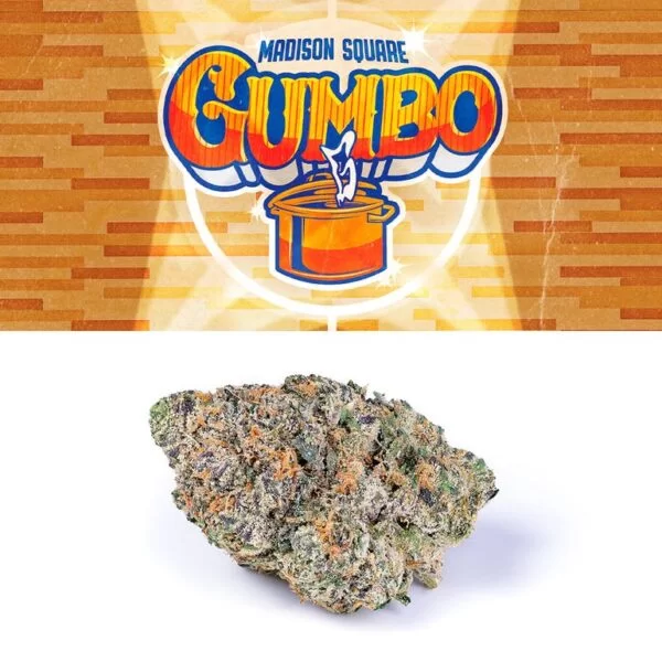 Buy Blue Gumbo Indica Hybrid for Sale Online